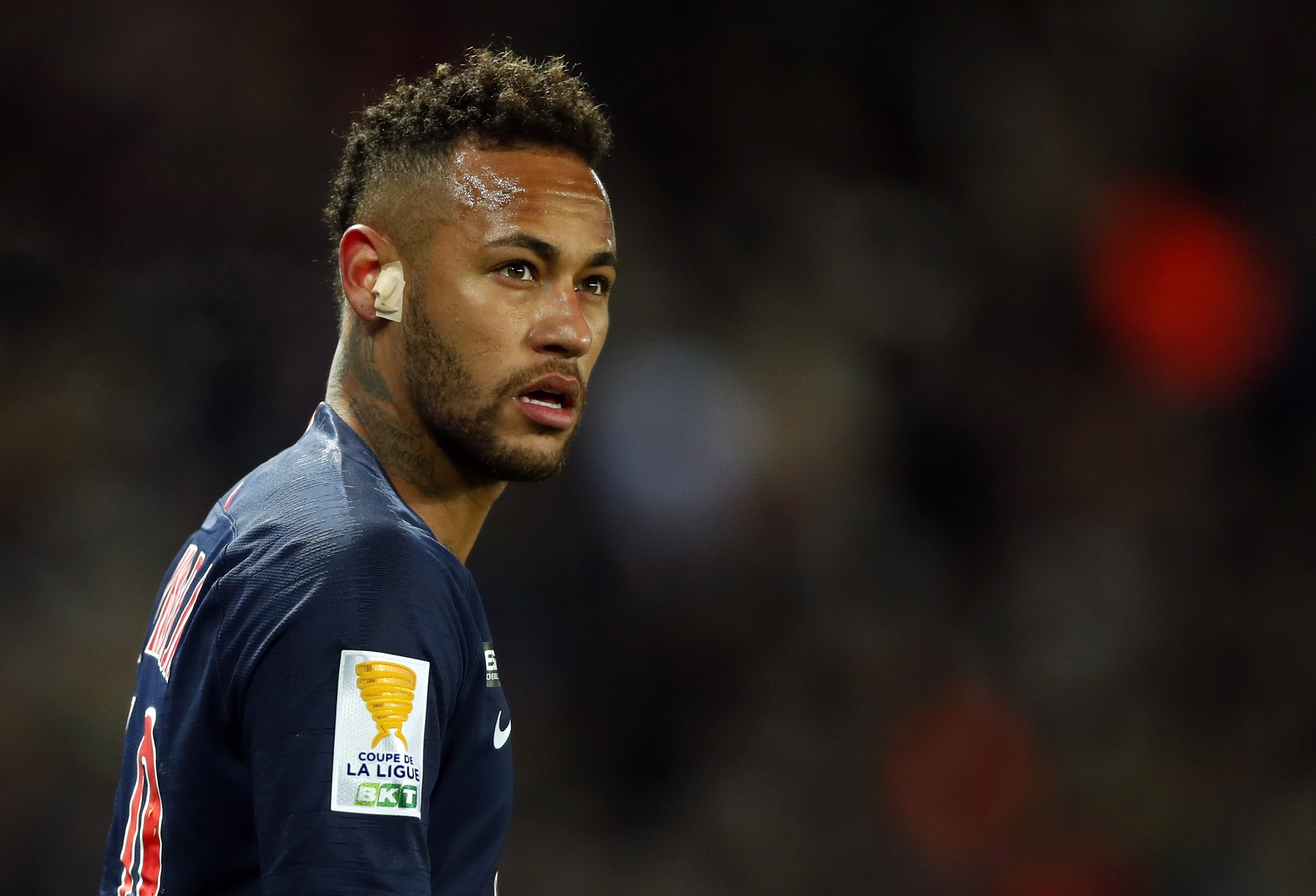 不仅能投 不仅能投