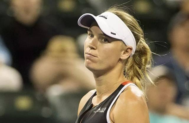 这让体育旅 这让体育旅